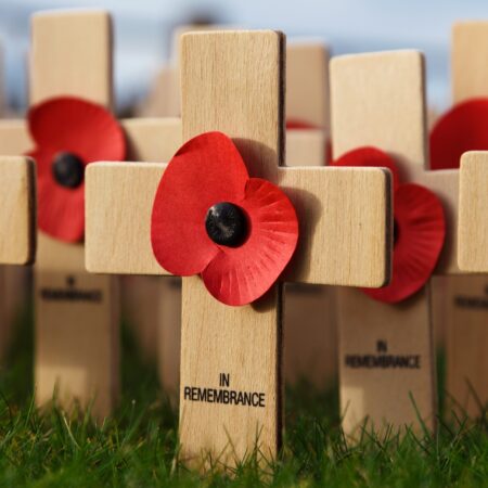 Why are poppies worn on remembrance day